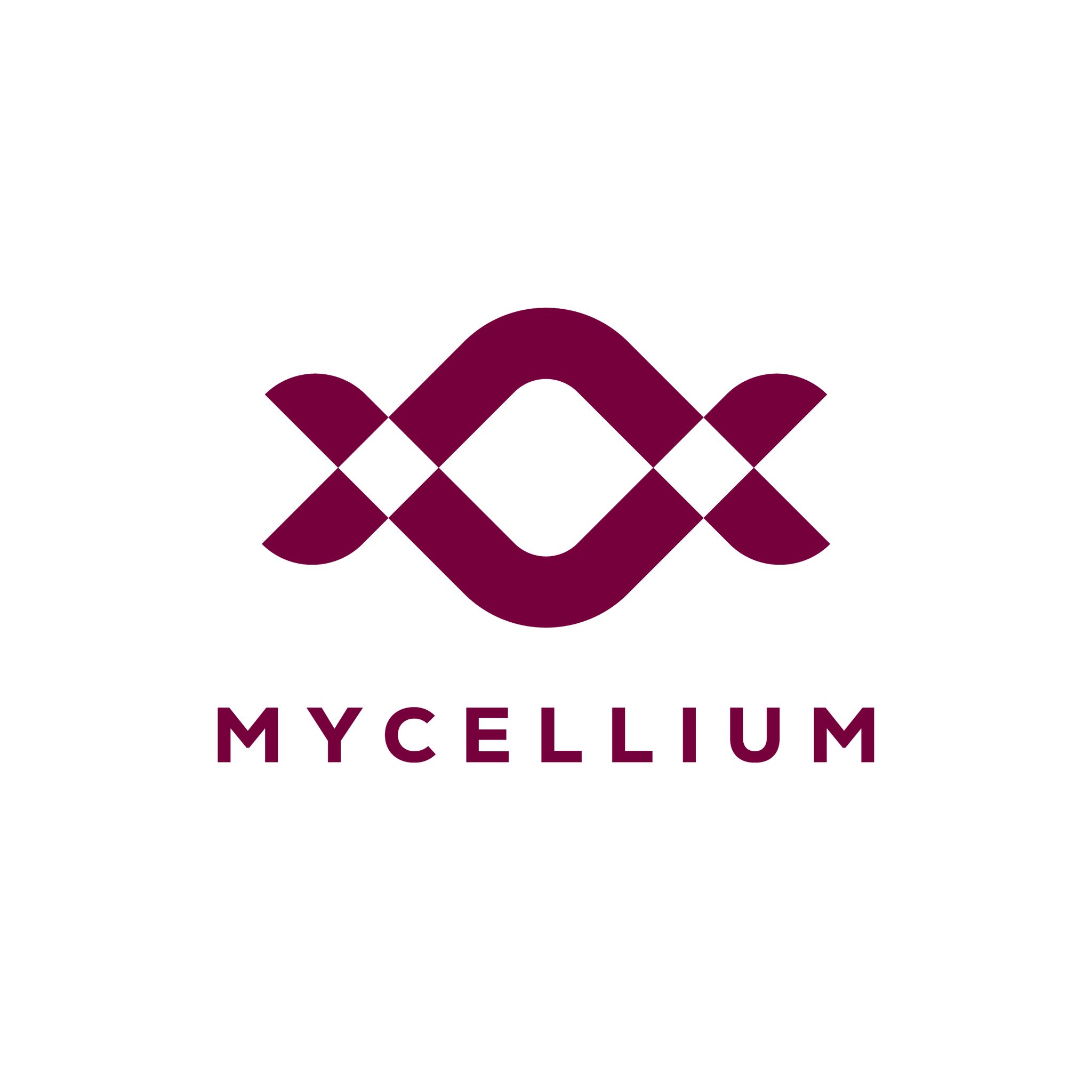 Mycellium